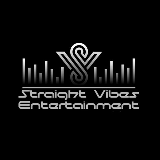 Straight Vibes Entertainment LLC - DJ / Event DJs in Plainfield, IL