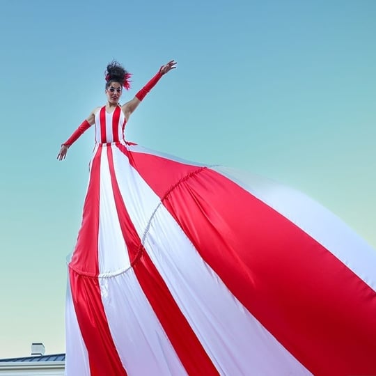 Cirque Specialty &  SwayPoles &  Rolly - Circus Entertainment / Circus and Acrobatic in Brooklyn, NY