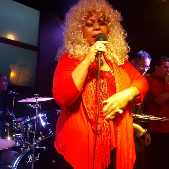 Lady Sunshine and the X-Band - Blues Band in Ypsilanti, MI