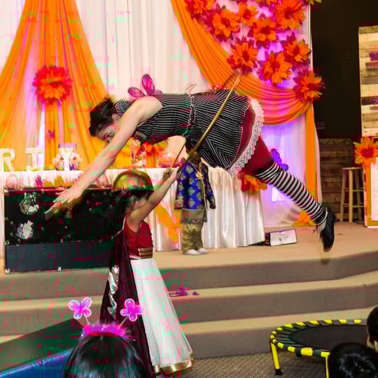 Earth Fairy Entertainment - Face Painter / Pony Party in Wilsonville, OR