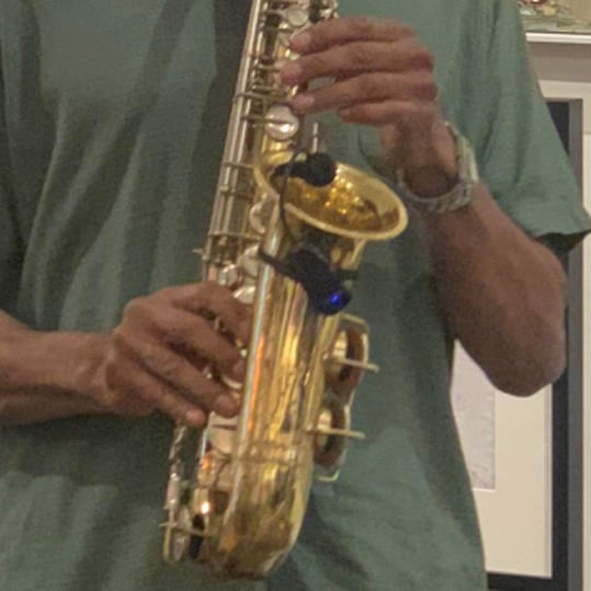 Alpha1Arts - Saxophone Player / Wedding Musicians in Loveland, OH
