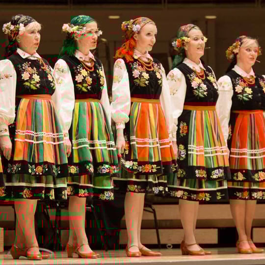 The Lira Ensemble - Educational Entertainment in Chicago, IL