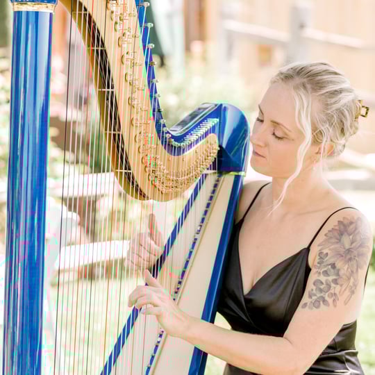 Adrienne Knauer, Harpist + DJ - Harpist in Phoenix, AZ