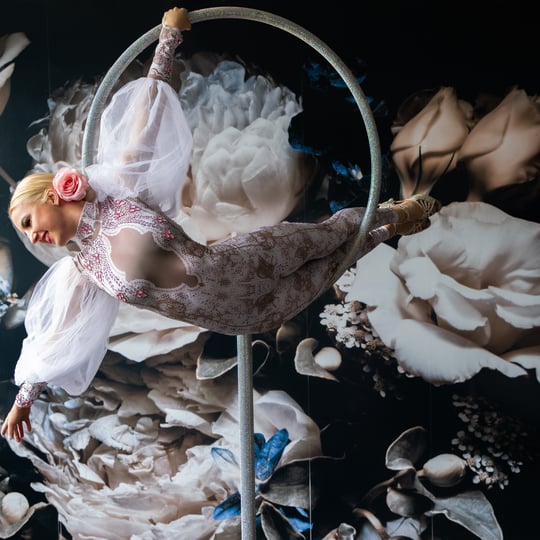 Aerial lyra , lollipop lyra - Aerialist / Circus and Acrobatic in Brooklyn, NY