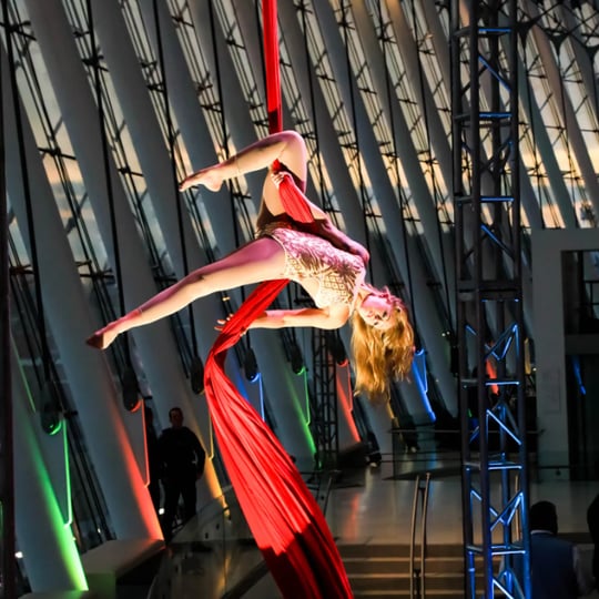 KC Aerial Arts – Unforgettable Aerial, Fire & LED Entertainment - Aerialist / 1940s Era Entertainment in Kansas City, MO