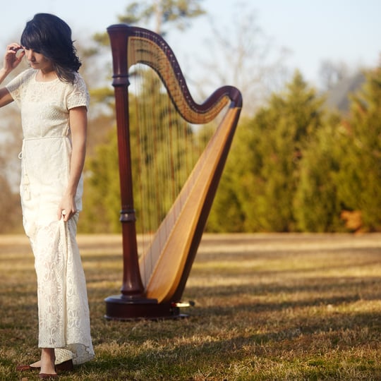 Alisa Coffey - Harpist / Celtic Music in Little Rock, AR