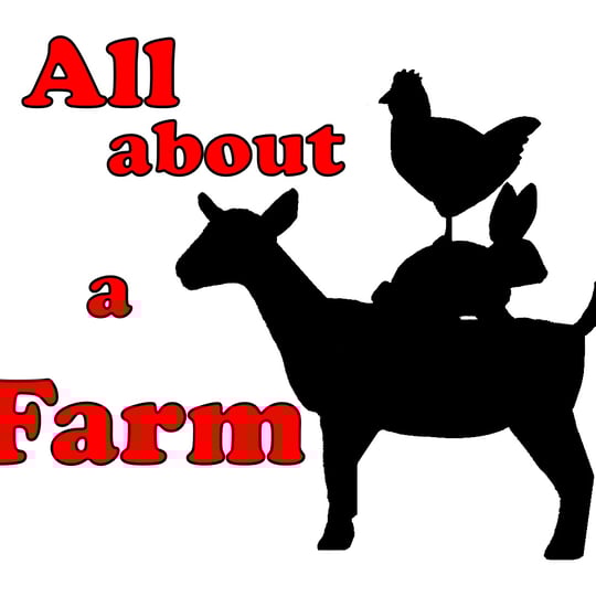 All About A Farm - Petting Zoo in Davis, CA