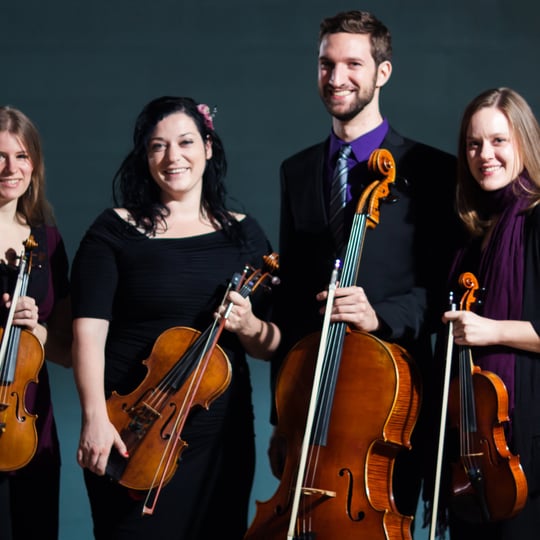 Amethyst Ensemble - String Quartet / Classical Music in Chicago, IL