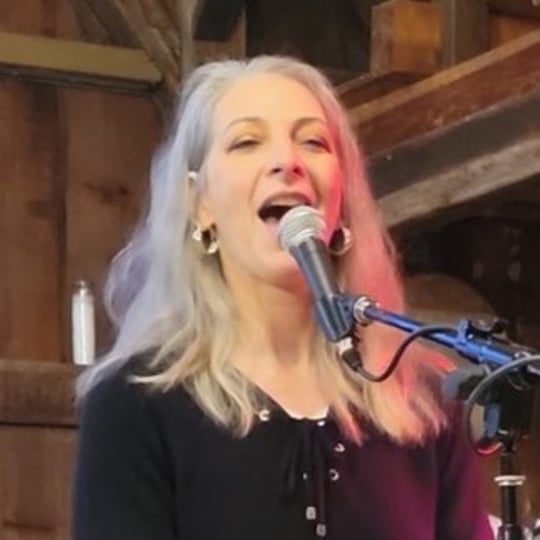 Annie Mironchik - Cover Band in Stockton, NJ
