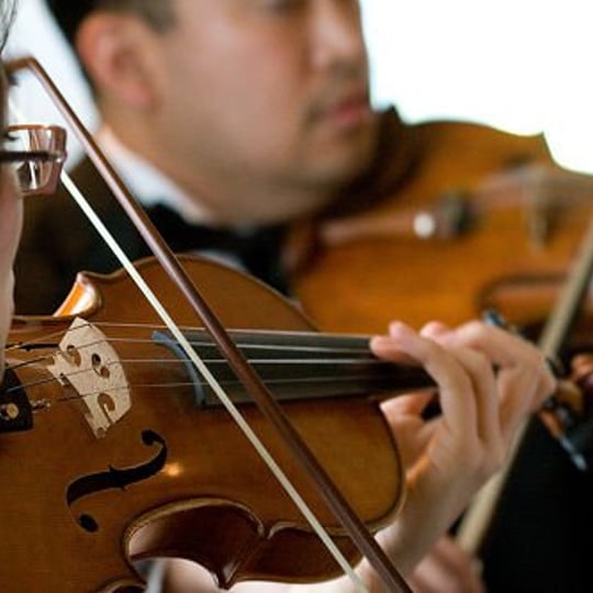 Arethusa Strings - Violinist in Colorado Springs, CO