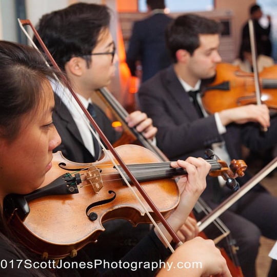 Aristo Strings NYC - String Quartet / Wedding Entertainment in New York City, NY