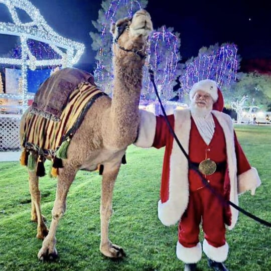 Arizona Camel Rental - Animal Entertainment / Petting Zoo in Phoenix, AZ