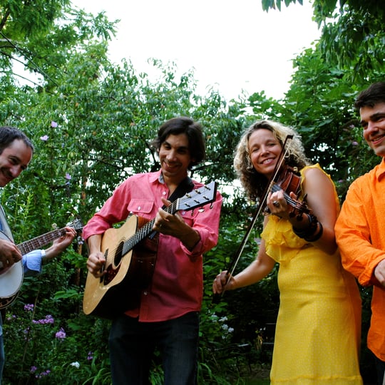 Astrograss - Bluegrass Band in Hastings On Hudson, NY