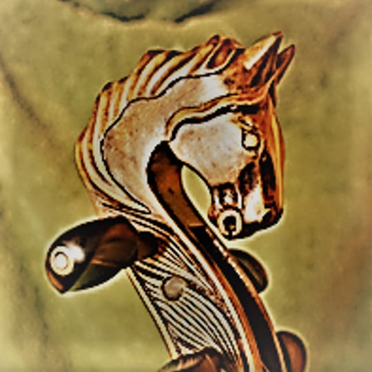 Atoka String Quartet - String Quartet in Middleburg, VA