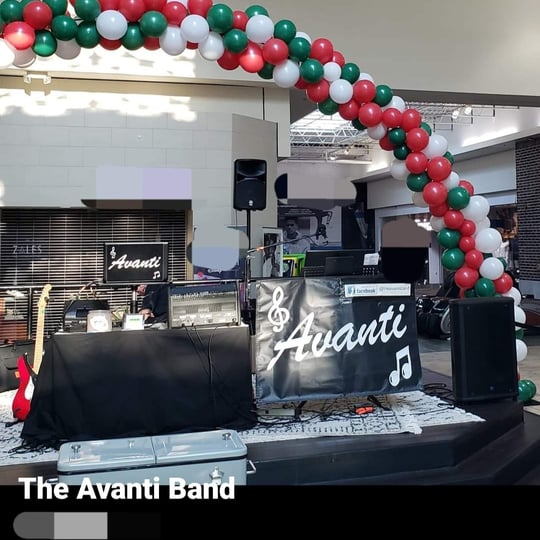Cocktail Hour and Dinner Music - Wedding Band in Broadview Heights, OH