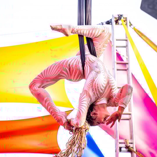 Avas Essence - Aerialist / Circus and Acrobatic in Santa Cruz, CA