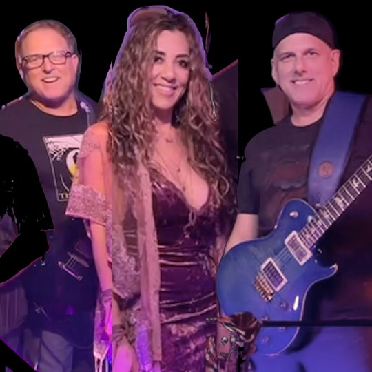 Lithium Vibe - Acoustic Band in San Diego, CA