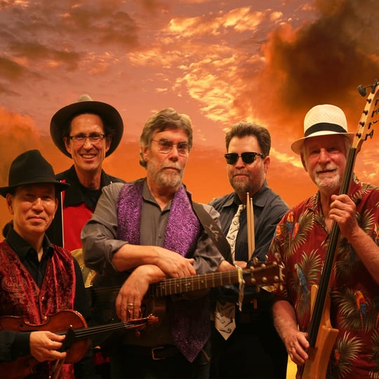 Blind Lemon Pledge - Acoustic Blues Band - Blues Band in San Francisco, CA