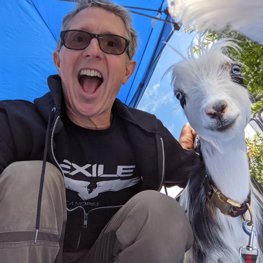 Bounce-N-Jump - Petting Zoo in San Ramon, CA