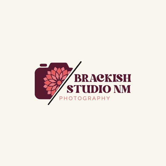Brackish Studio NM - Photographer in Albuquerque, NM