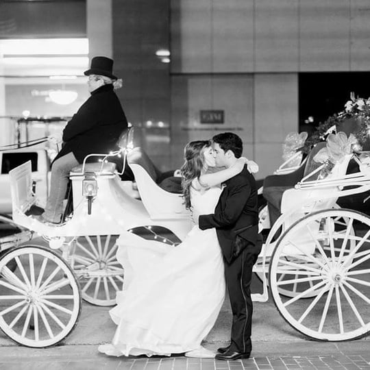 Brazos Carriage Co - Horse Drawn Carriage / Pony Party in Granbury, TX