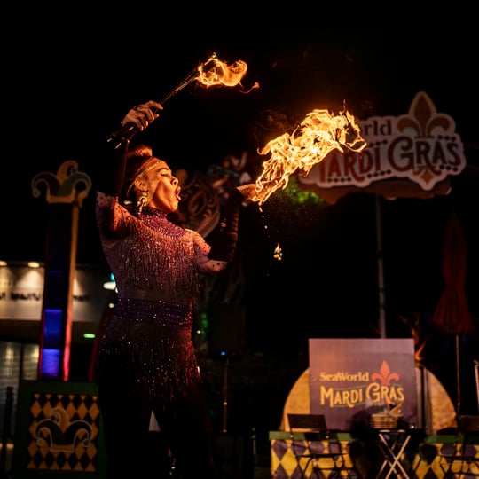 Burning Desire - Variety Entertainer / Latin Jazz Band in Rancho Cucamonga, CA