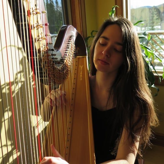 Calgary Harpist - Harpist / Celtic Music in Calgary, AB