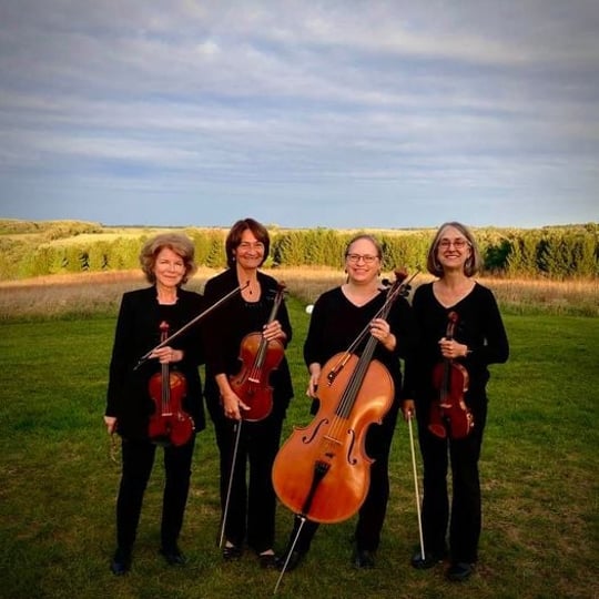 Camerata String Quartet - String Quartet / Classical Ensemble in Verona, WI