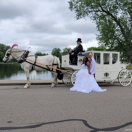 Carriage Limousine Service - Horse Drawn Carriages - Horse Drawn Carriage / Holiday Party Entertainment in Wellsville, OH
