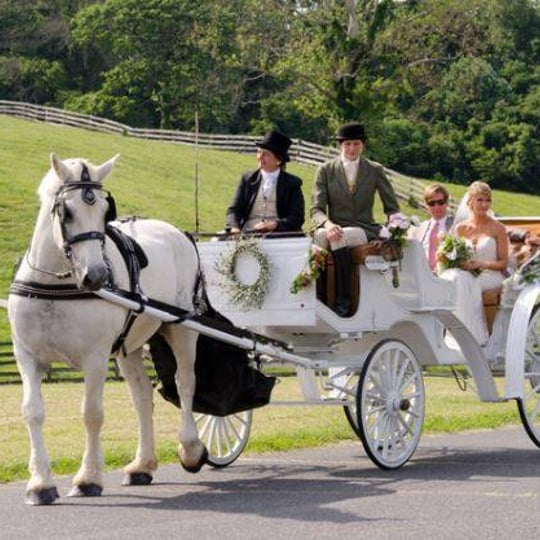 Carriages of the Capital - Horse Drawn Carriage / Pony Party in Frederick, MD