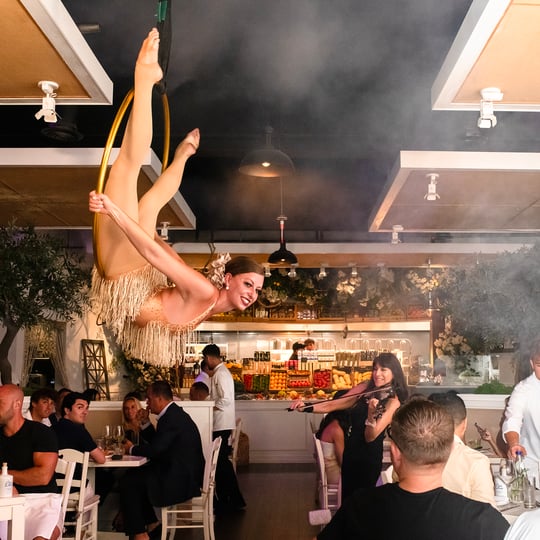 Cassandra Estelle - Aerialist / Circus and Acrobatic in New York City, NY