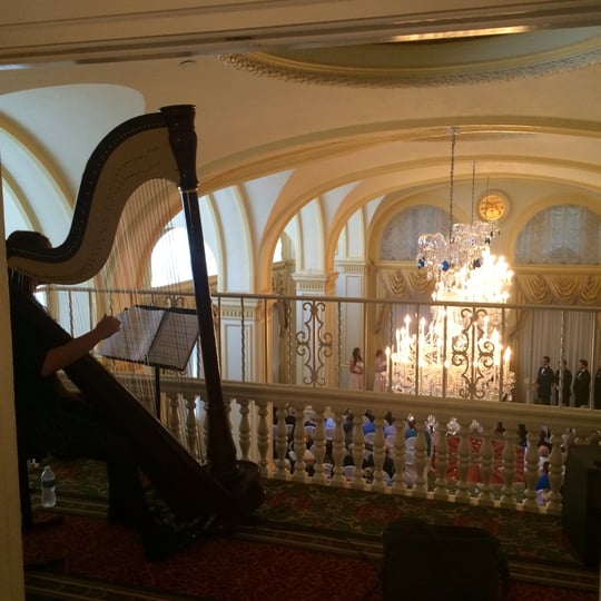 Christine Abigail - Harpist in Greenwood, IN