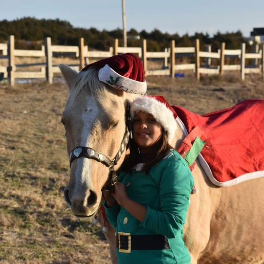 Christine Wilson Birthday Pony Parties - Pony Party / Santa Claus in Kearney, NE
