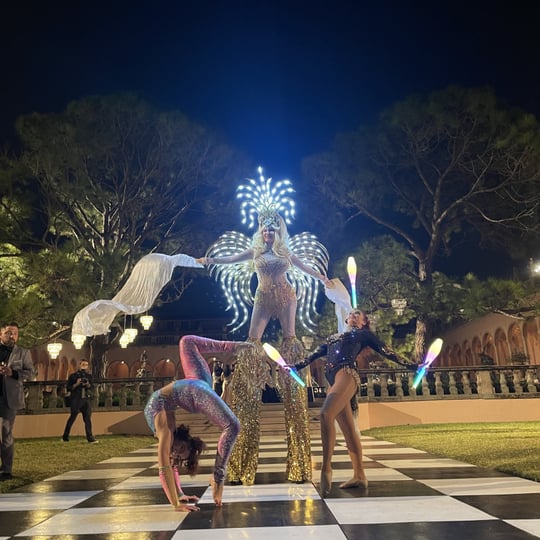 Cirque Vertigo - Variety Entertainer in Tampa, FL
