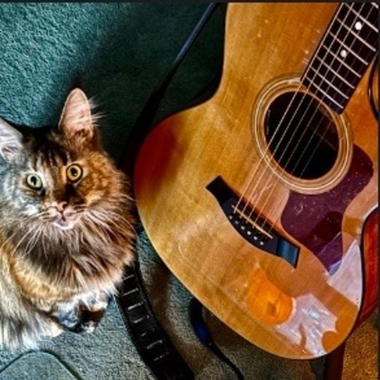Clay's Classic Rock - Singing Guitarist in Downingtown, PA