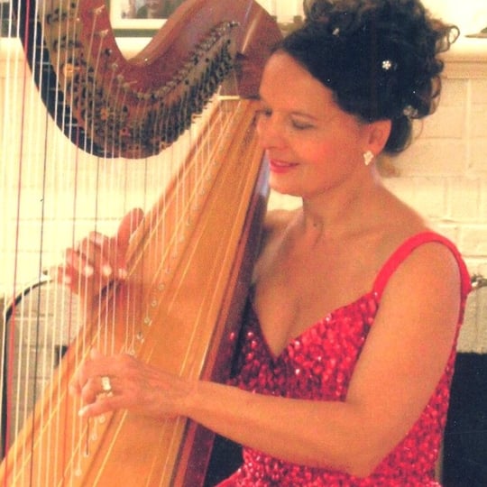 Harpist Solo & Chamber Music With Harp - Harpist in New York City, NY