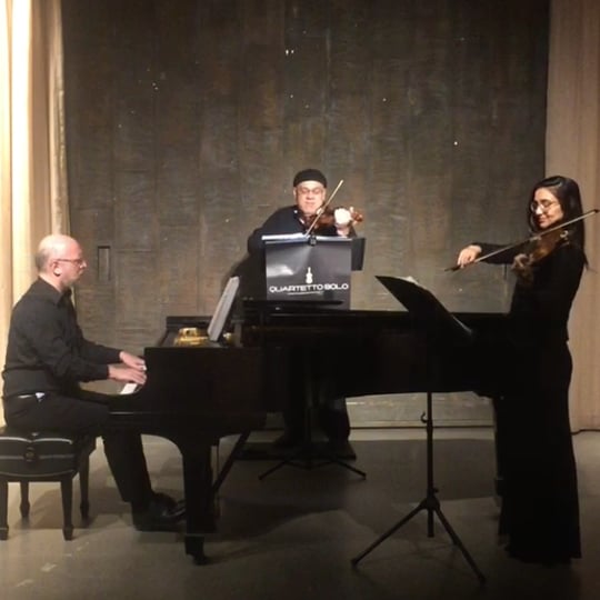 String Theory Chamber Ensemble - String Quartet / Classical Music in Chicago, IL