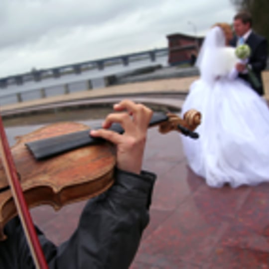 Continuo  Music - String Quartet / Swing Band in Redding, CT