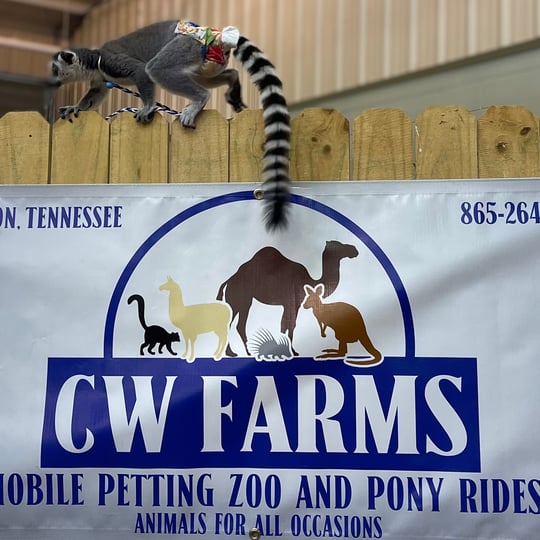 CW Farms - Petting Zoo in Clinton, TN
