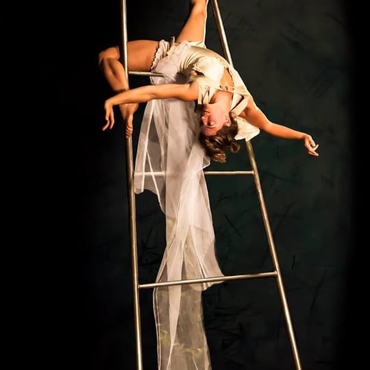 Danielle Butler - Aerialist in Oakland, CA
