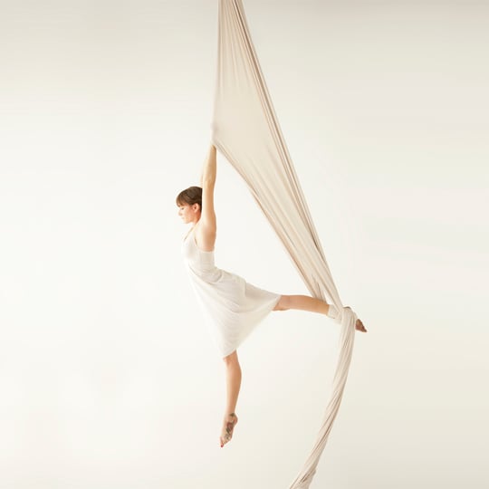 Danielle Cohen - Aerialist / Burlesque Entertainment in Honolulu, HI