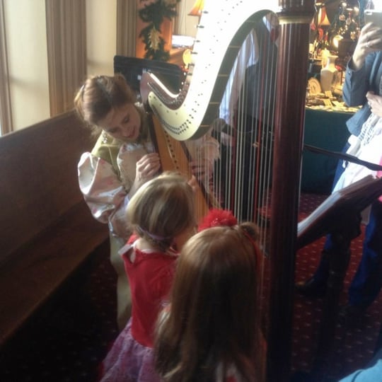 Darcy Bell-Myers Celtic Harpist & Singer - Harpist in Stillwater, MN