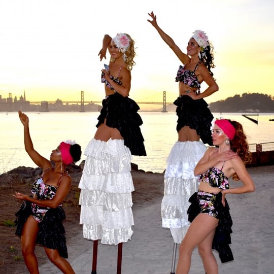 Daring Arts Movement (D.A.M) - Stilt Walker / Circus and Acrobatic in Oakland, CA