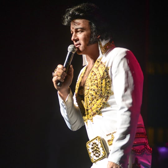 David Lee is Elvis4u - Elvis Impersonator / Impersonator in Birmingham, AL