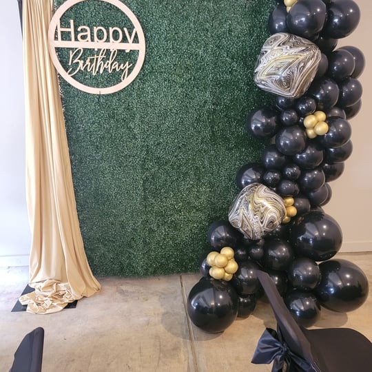 Dazzled by Dani - Balloon Decor / Party Decor in Horn Lake, MS