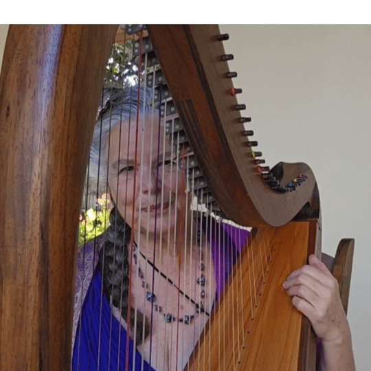 De Luna - Harpist / Celtic Music in St Augustine, FL