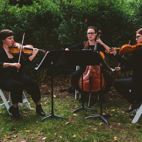 District Strings - String Quartet in Washington, DC