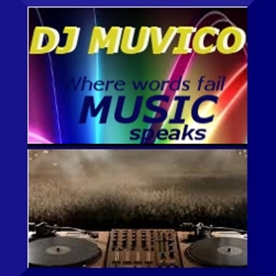 DJ Muvico - Wedding DJ / Event DJs in Crete, IL
