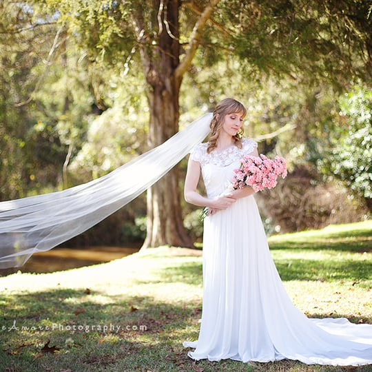 Dolce Amore Photography - Photographer / Wedding Photographer in Canton, GA