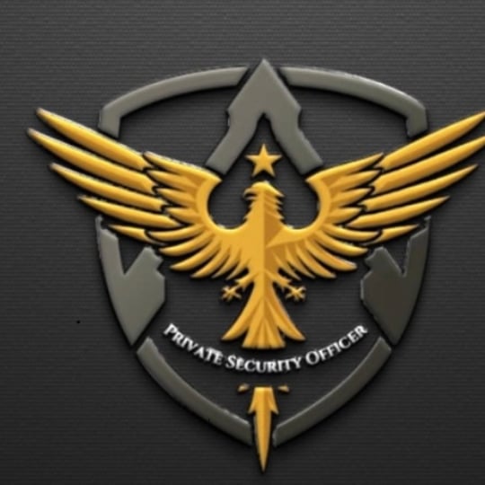 Rapid Response Security & Process Services - Event Security Services in Los Angeles, CA